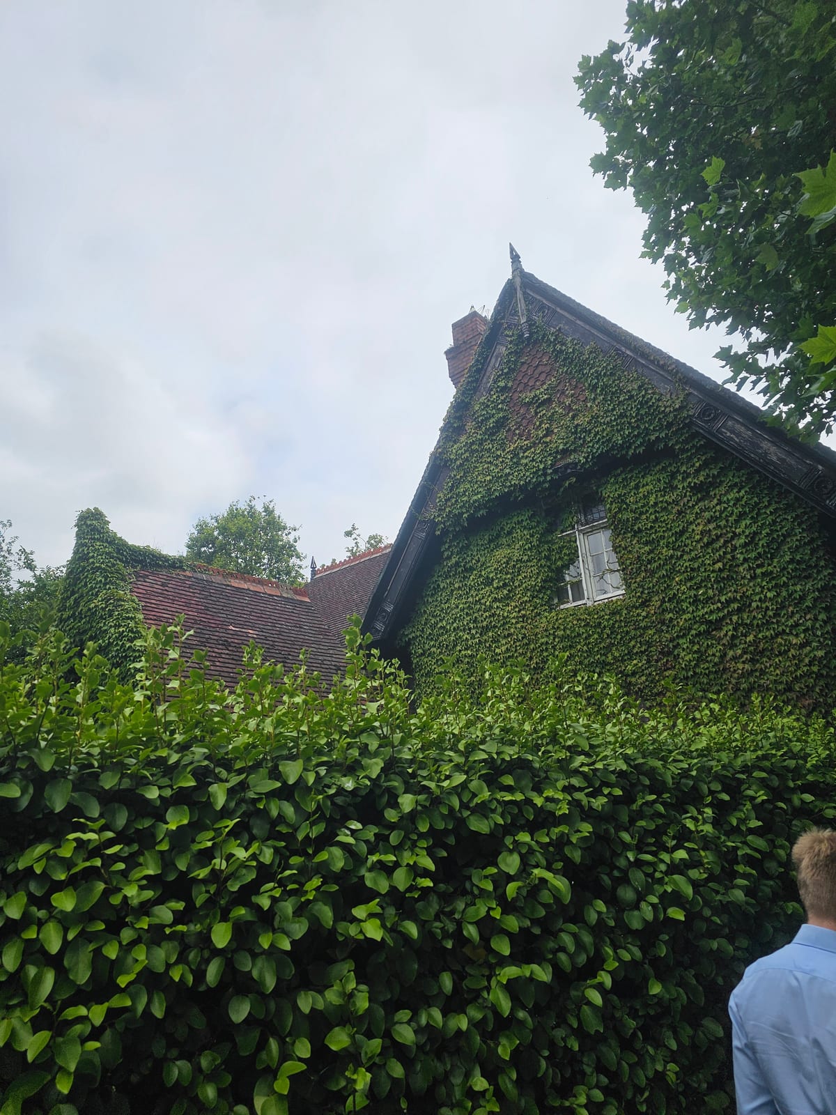 Ireland, photo 8 of 126