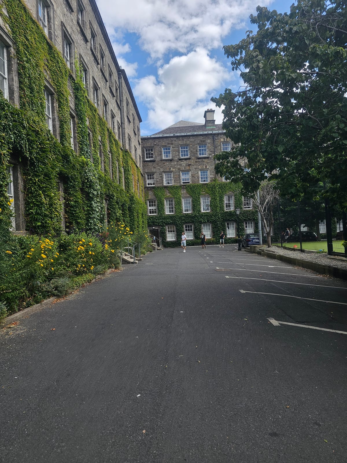 Ireland, photo 27 of 126