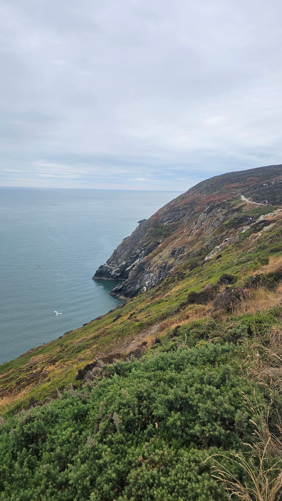Ireland, photo 91 of 126