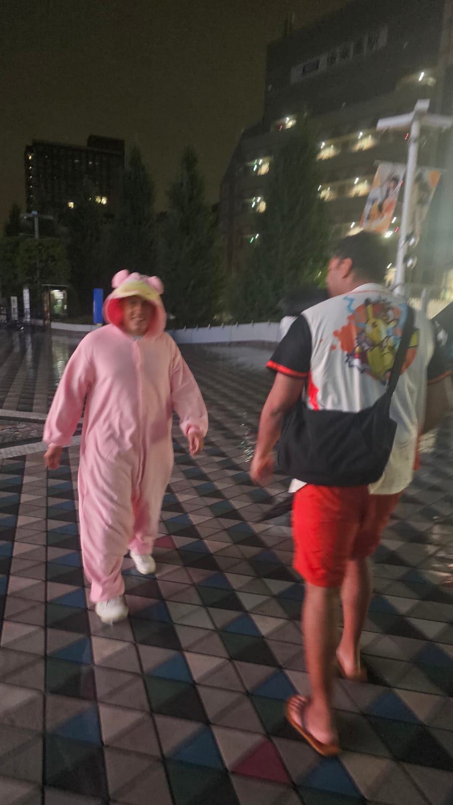 Japan, photo 175 of 211