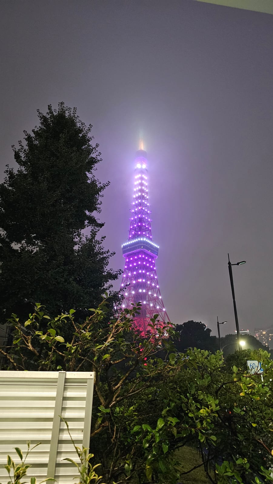 Japan, photo 195 of 211