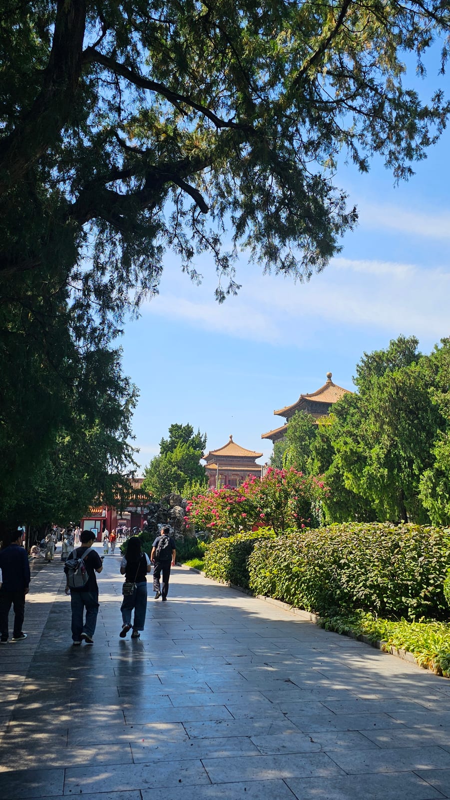 China, photo 41 of 359