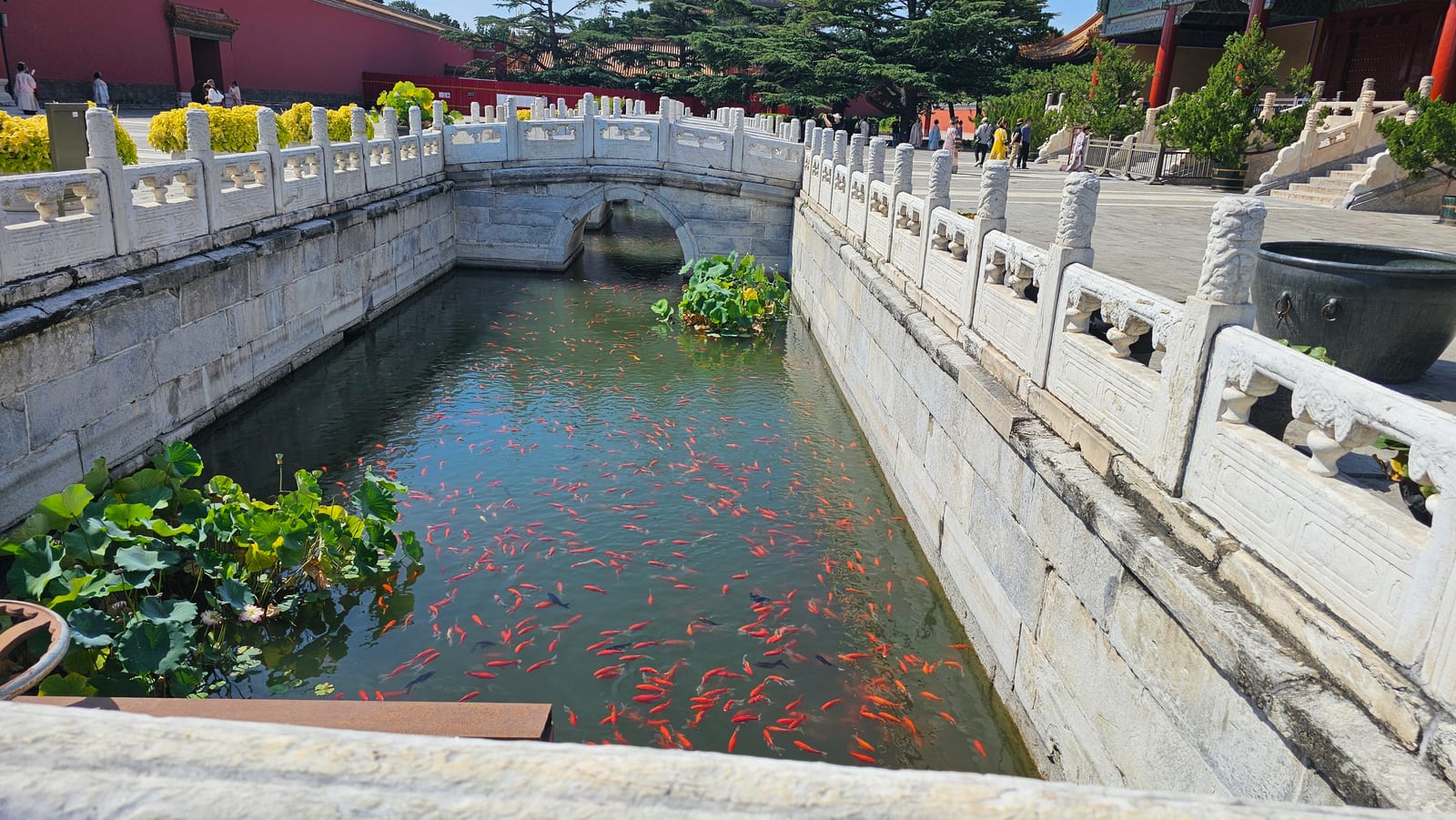 China, photo 57 of 359