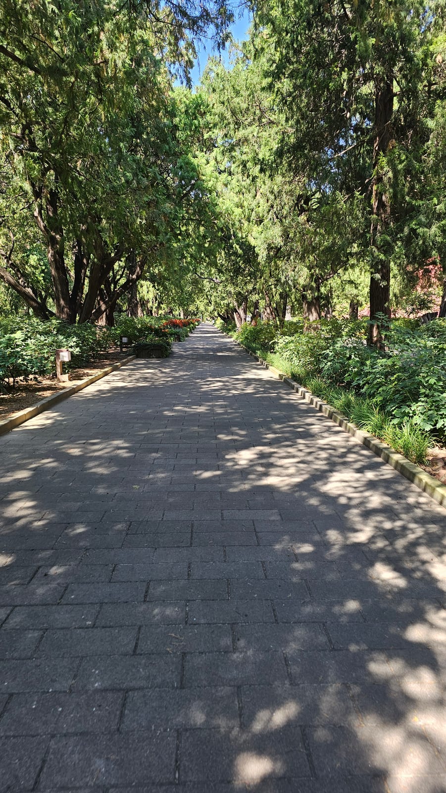 China, photo 65 of 359
