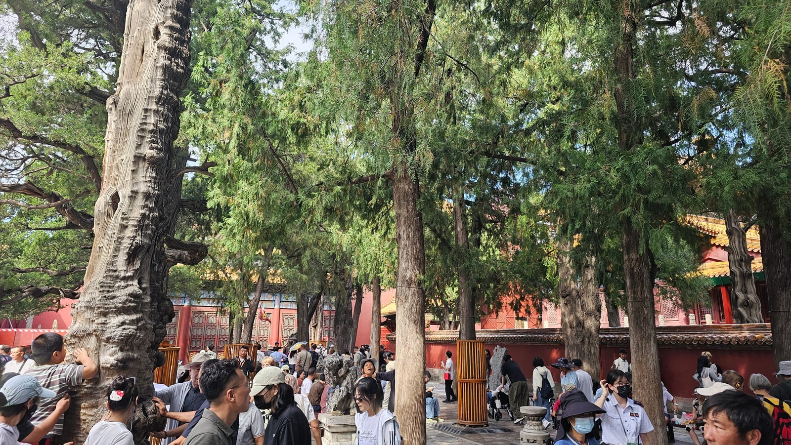 China, photo 89 of 359