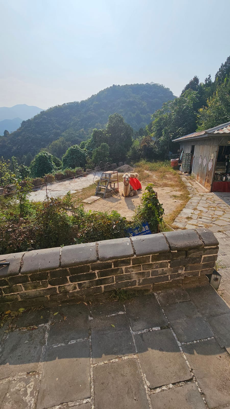 China, photo 294 of 359