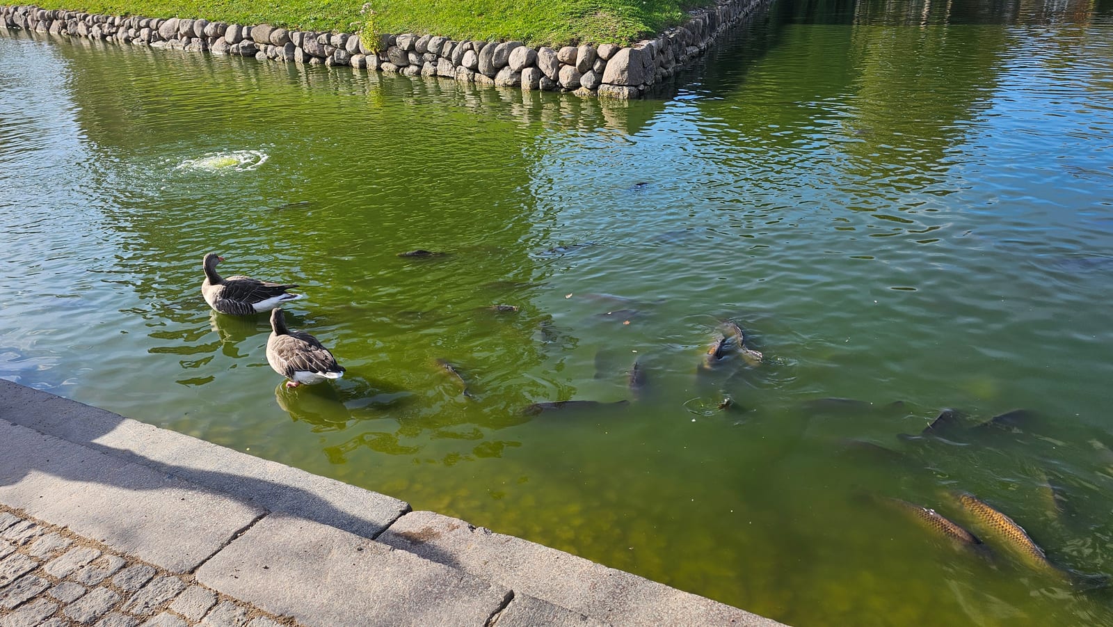 Denmark, photo 56 of 63