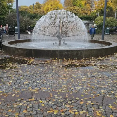 Norway, photo 21 of 156