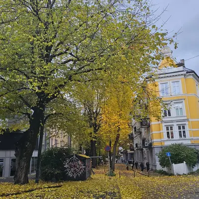 Norway, photo 27 of 156