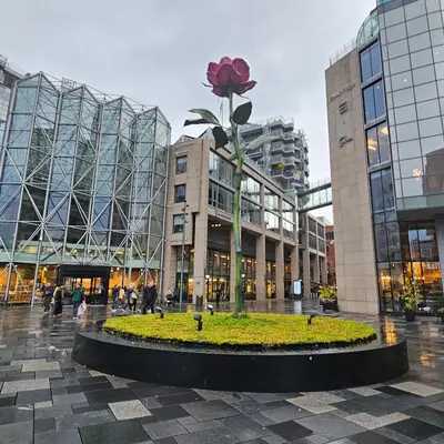 Norway, photo 36 of 156